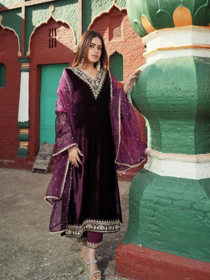 Presenting New Velvet Dress Stunning Look Collation